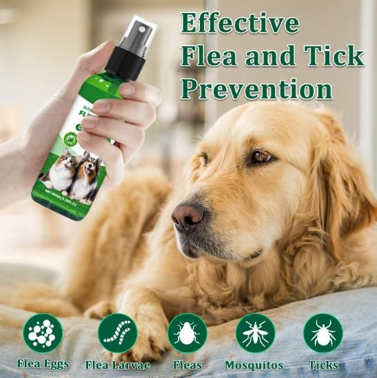 Flea & Tick Spray for Pets – 100ml Pack of 2