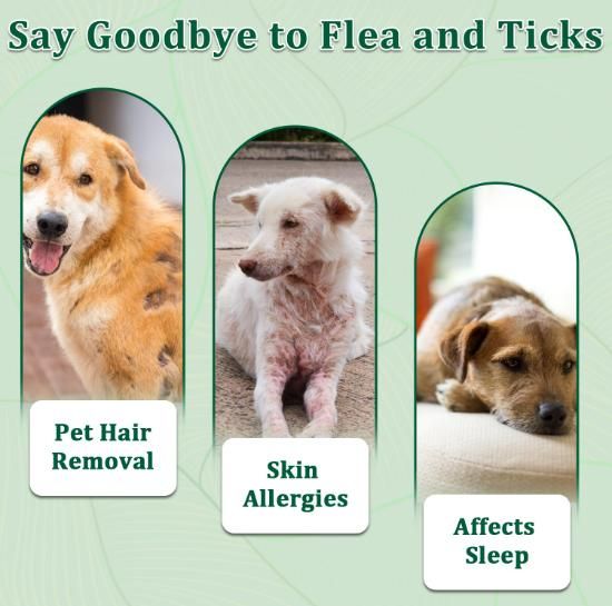 Flea & Tick Spray for Pets – 100ml Pack of 2