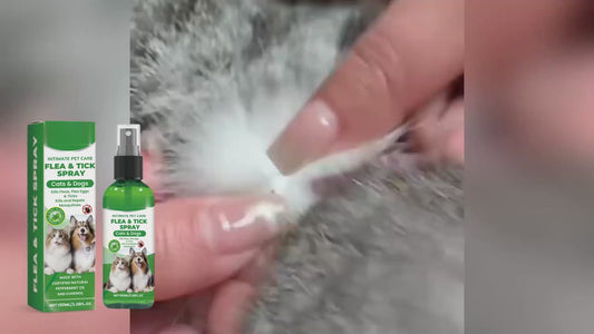 Flea & Tick Spray for Pets – 100ml Pack of 2